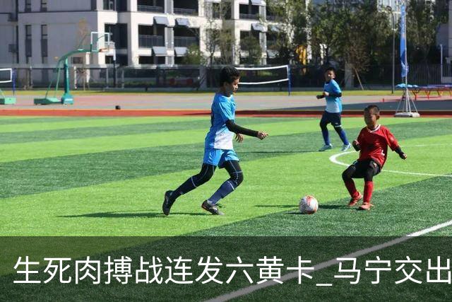 生死肉搏战连发六黄卡 马宁交出世界杯主哨首秀答卷